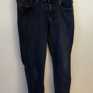 Levi's Blue Skinny Jeans Dark Wash